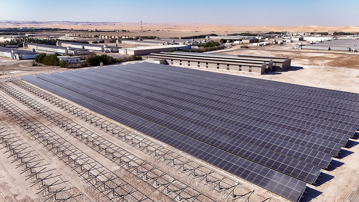 شركة الزيلعي للصناعات الزراعية المتنوعة المحدودة (زايلكو) - فرع السعودية