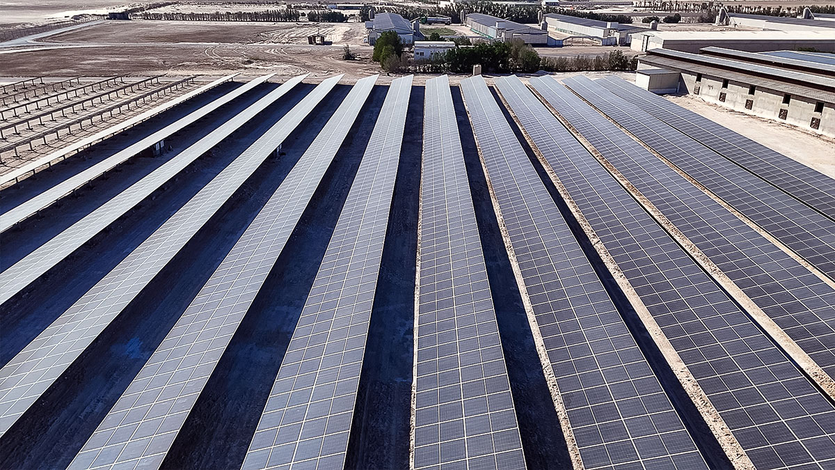 شركة الزيلعي للصناعات الزراعية المتنوعة المحدودة (زايلكو) - فرع السعودية