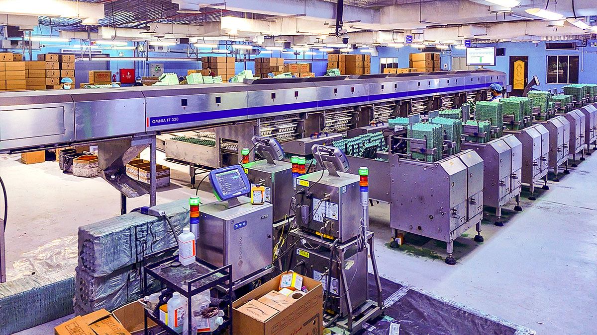 شركة الزيلعي للصناعات الزراعية المتنوعة المحدودة (زايلكو) - فرع السعودية