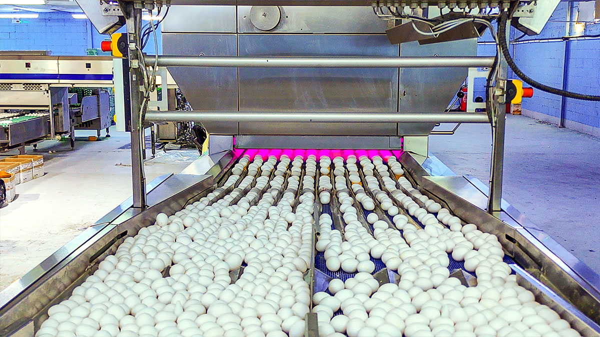 شركة الزيلعي للصناعات الزراعية المتنوعة المحدودة (زايلكو) - فرع السعودية