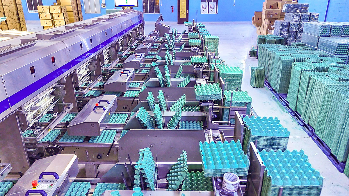 شركة الزيلعي للصناعات الزراعية المتنوعة المحدودة (زايلكو) - فرع السعودية