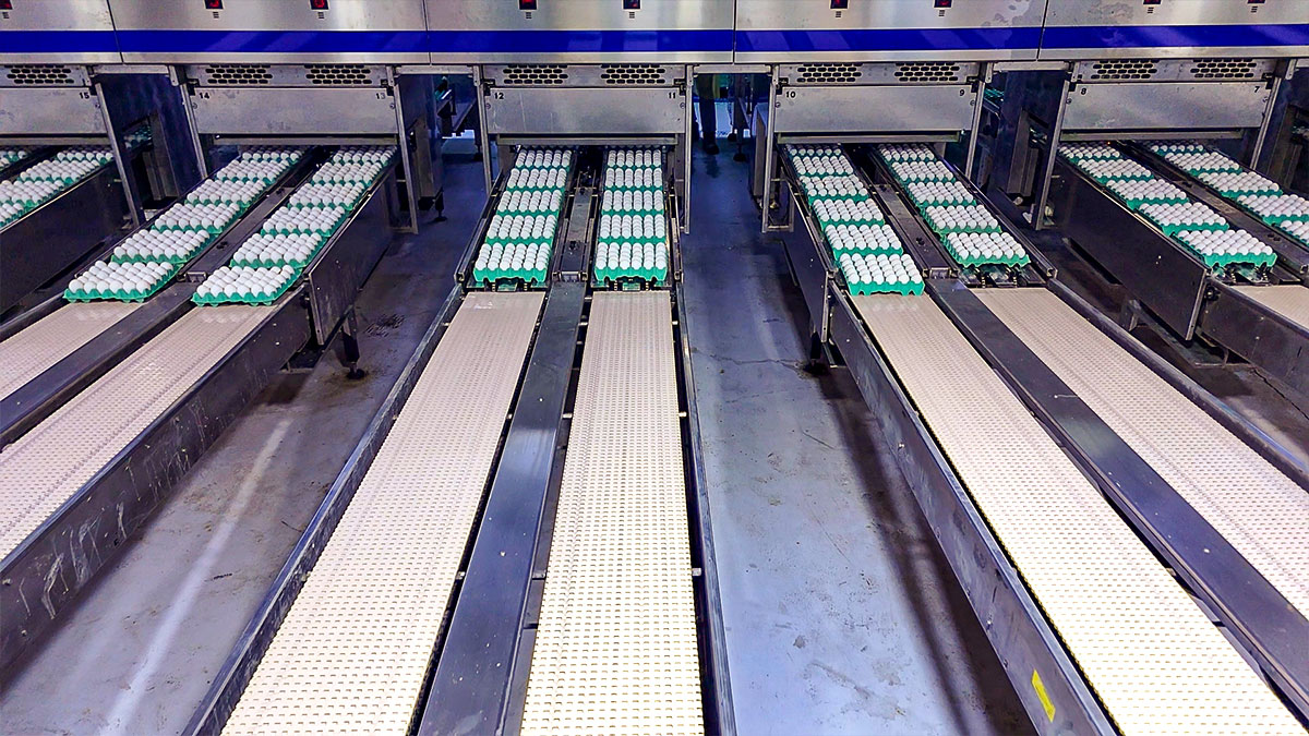 شركة الزيلعي للصناعات الزراعية المتنوعة المحدودة (زايلكو) - فرع السعودية